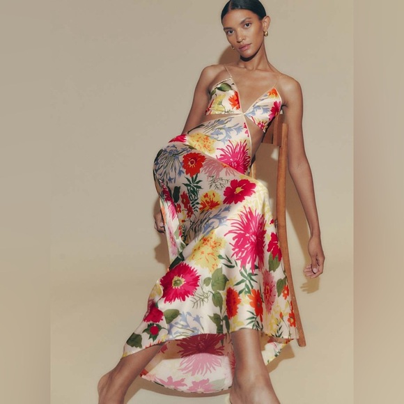 NWOT Reformation Poppies Silk Maxi Dress Cutout Floral Boho Garden Sz 4 - Picture 1 of 16